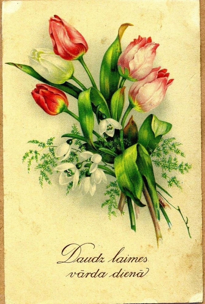 Latvia 1933 Varda Diena Postcard w/Riga 'C' Cancel*