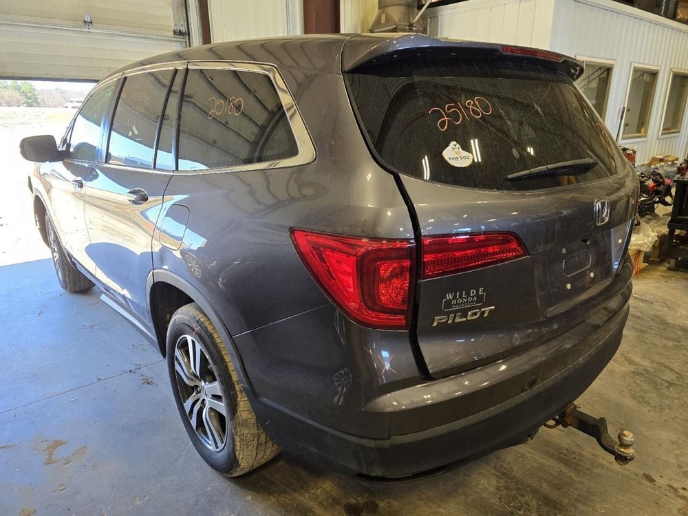 PILOT 2017 Jack 1552265