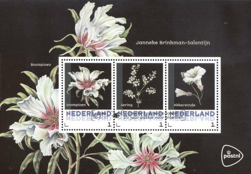(952494) Flowers, Netherlands