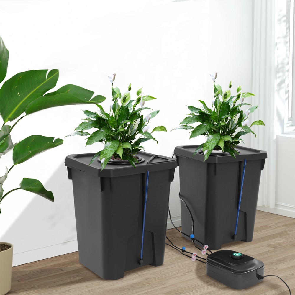 Hydroponics Growing System, Hydroponic Growing Bucket Kit Garden System