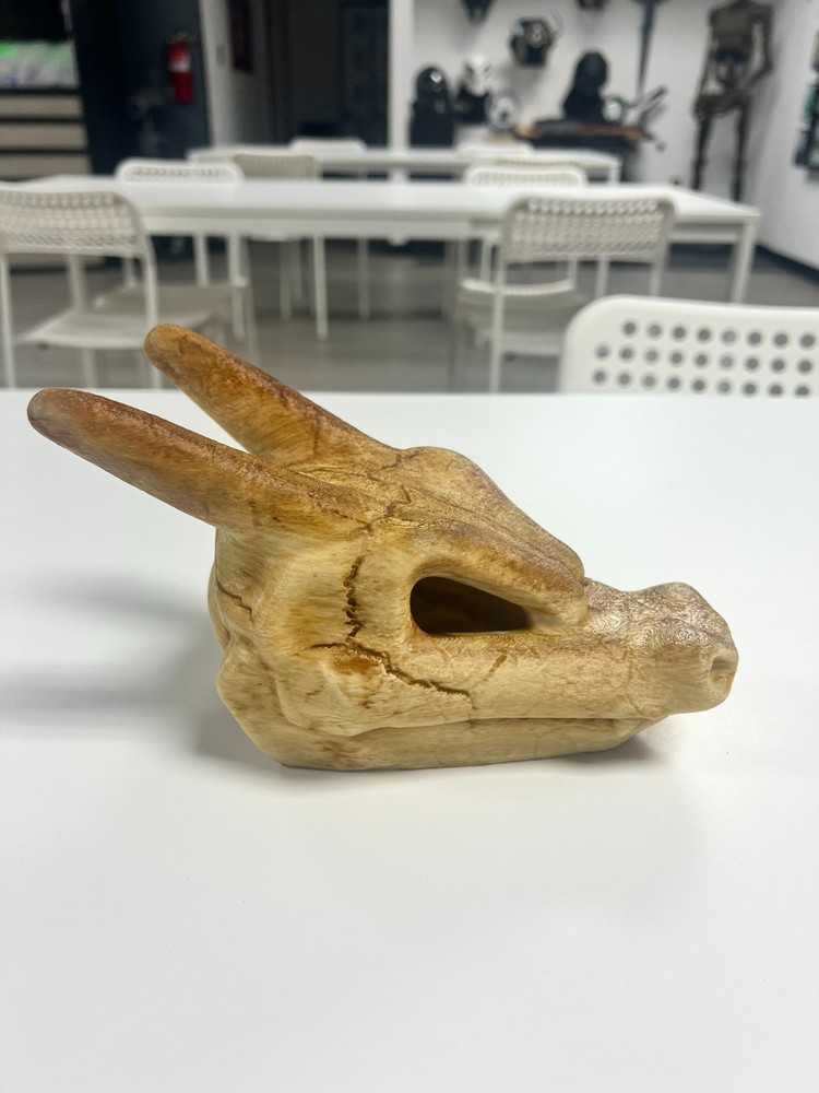 3D Printed Charizard Skull