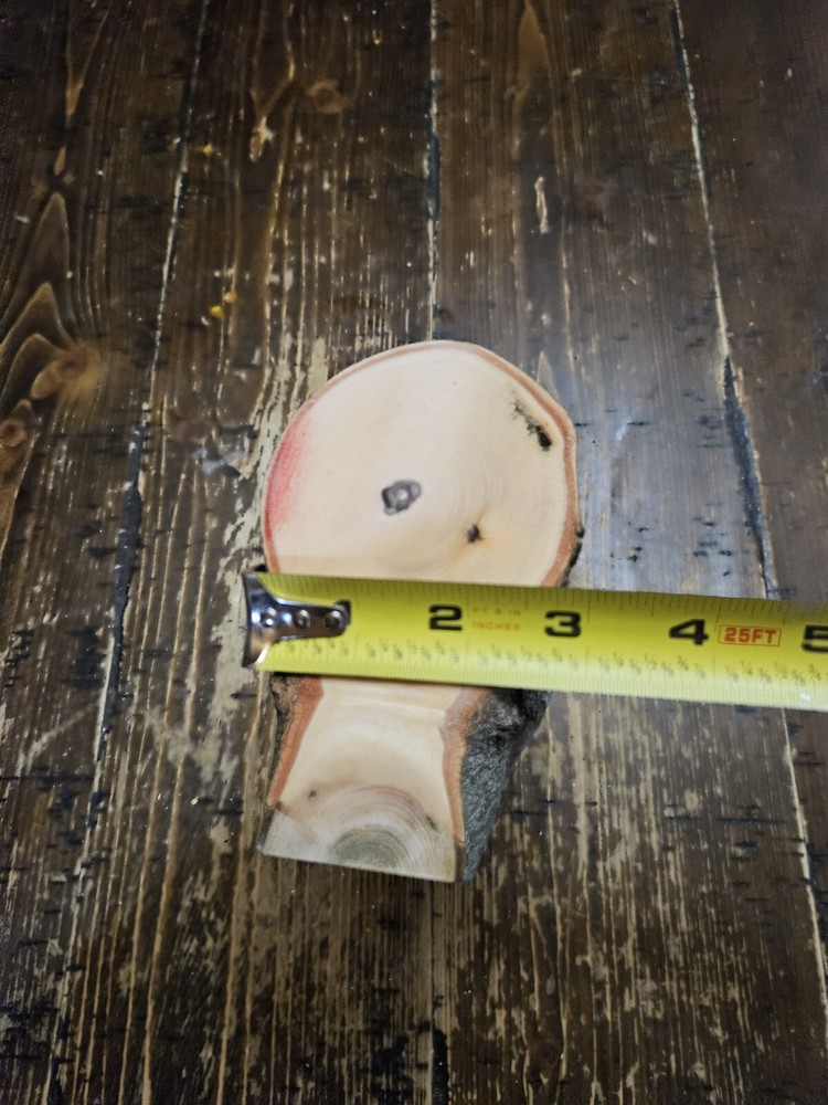 MAPLE Turning Crotch Log 7" Long M4804