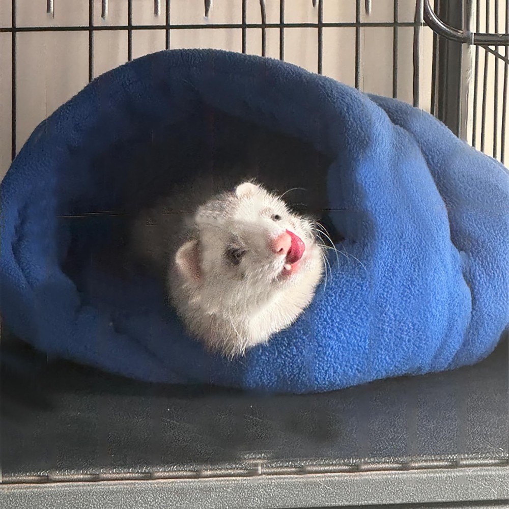 Ferret Bed Cave and Hideouts Comfortable，Hideaway Bed Accessories for CageBed...