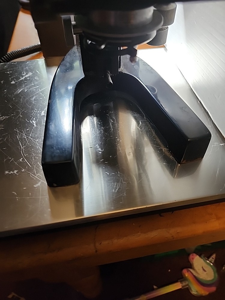 Ernst Leitz Wetzlar Binocular Microscope #413725