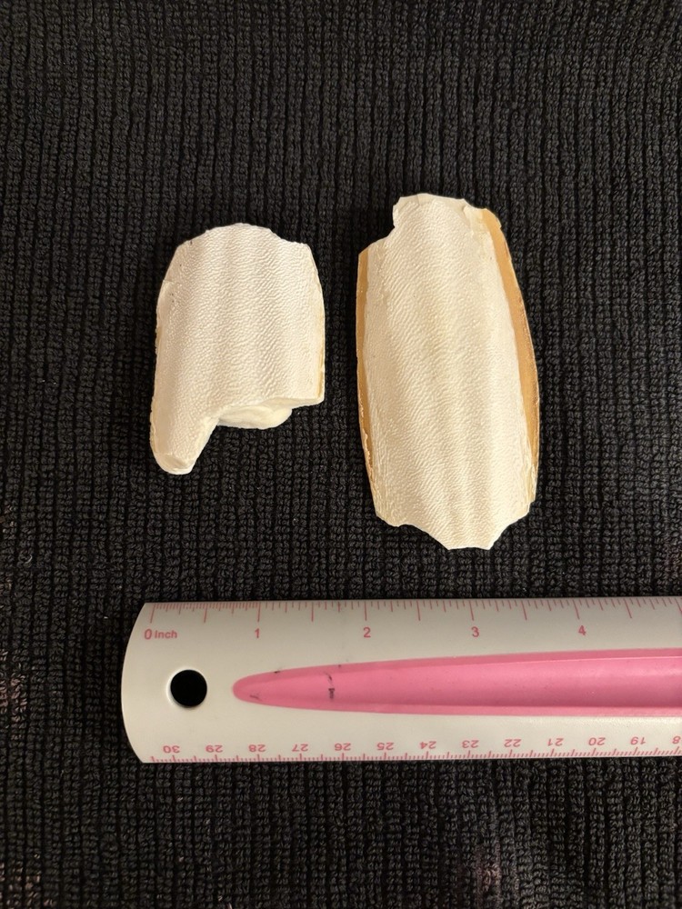 Cuttlebone for Shrimp and Snails