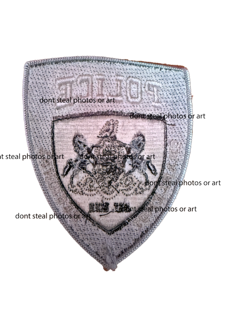 Charleroi Regional Police Patch