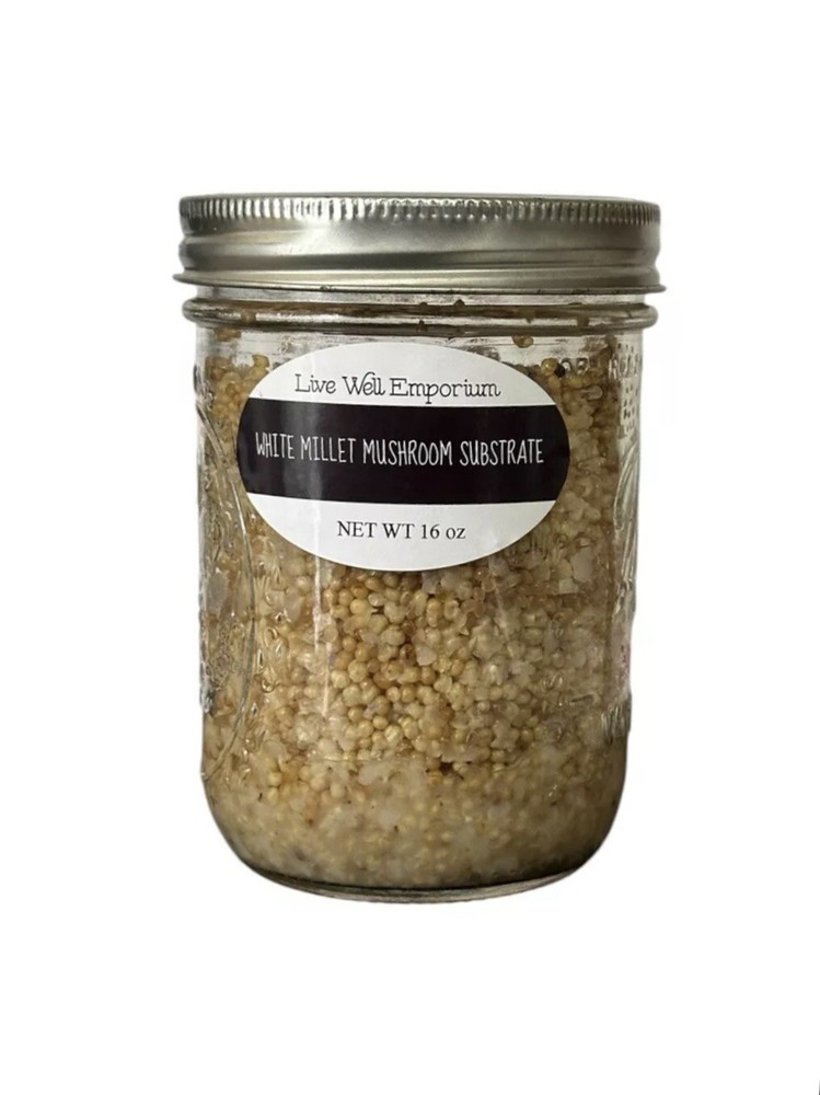 Sterilized MILLET Jars For Mushroom Inoculation Two(2) Count