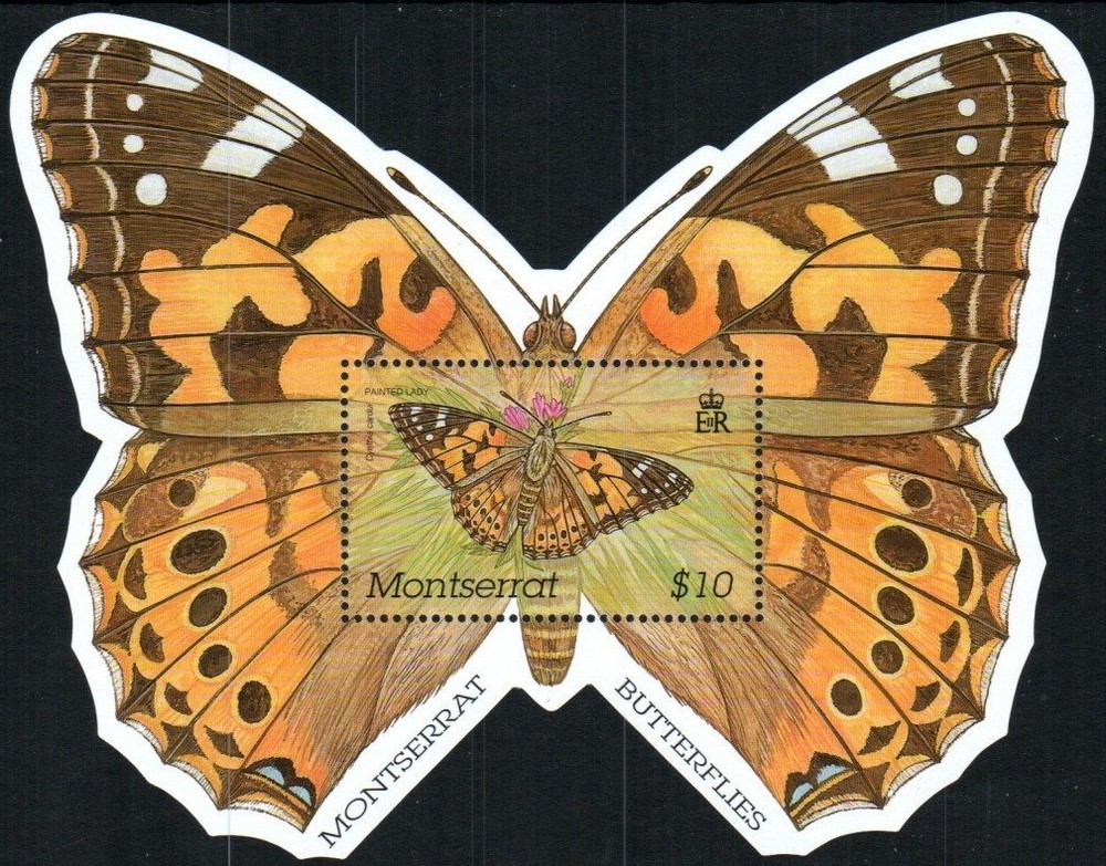 Montserrat Stamp 1061  - Butterfly