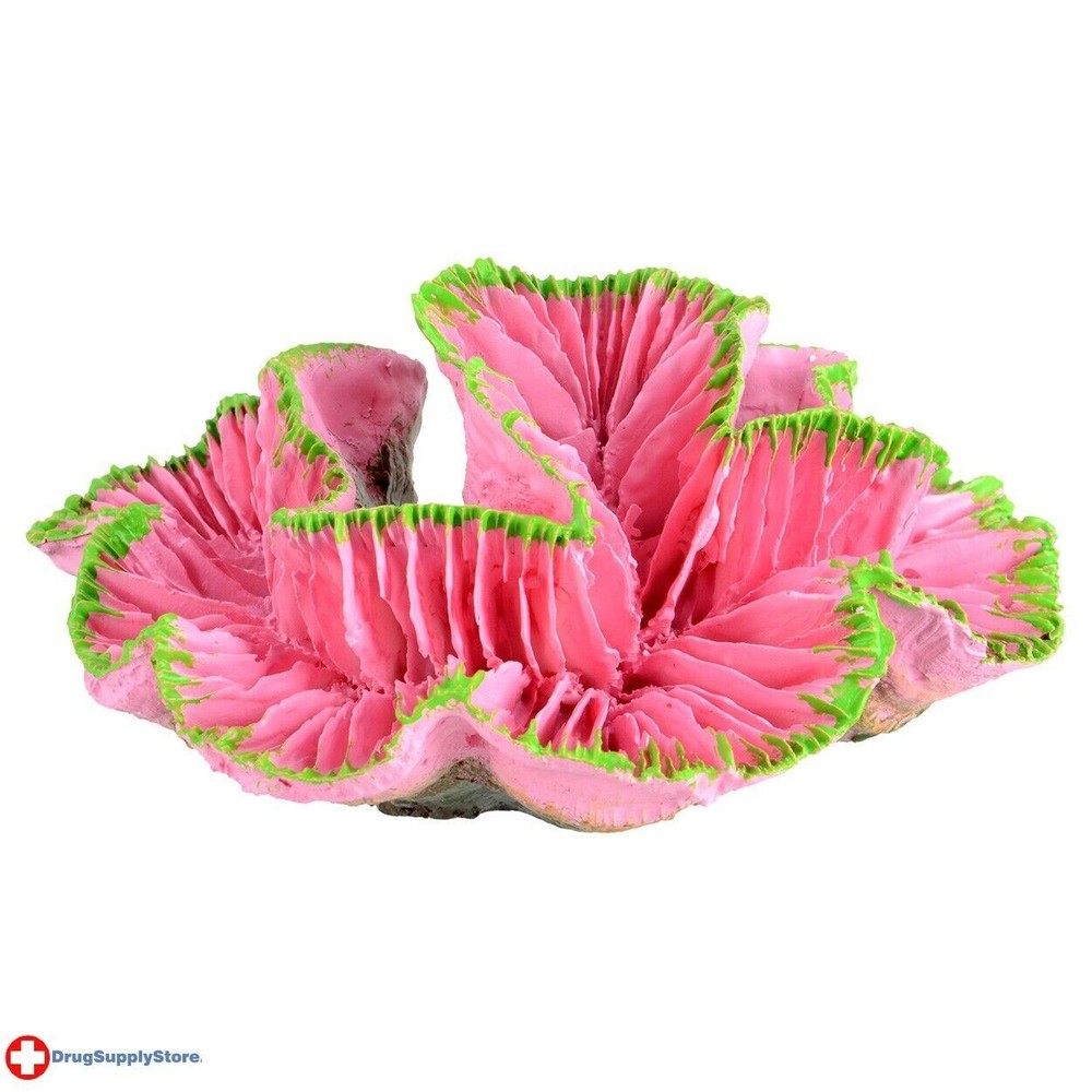 RA Open Brain Coral - Pink - Small