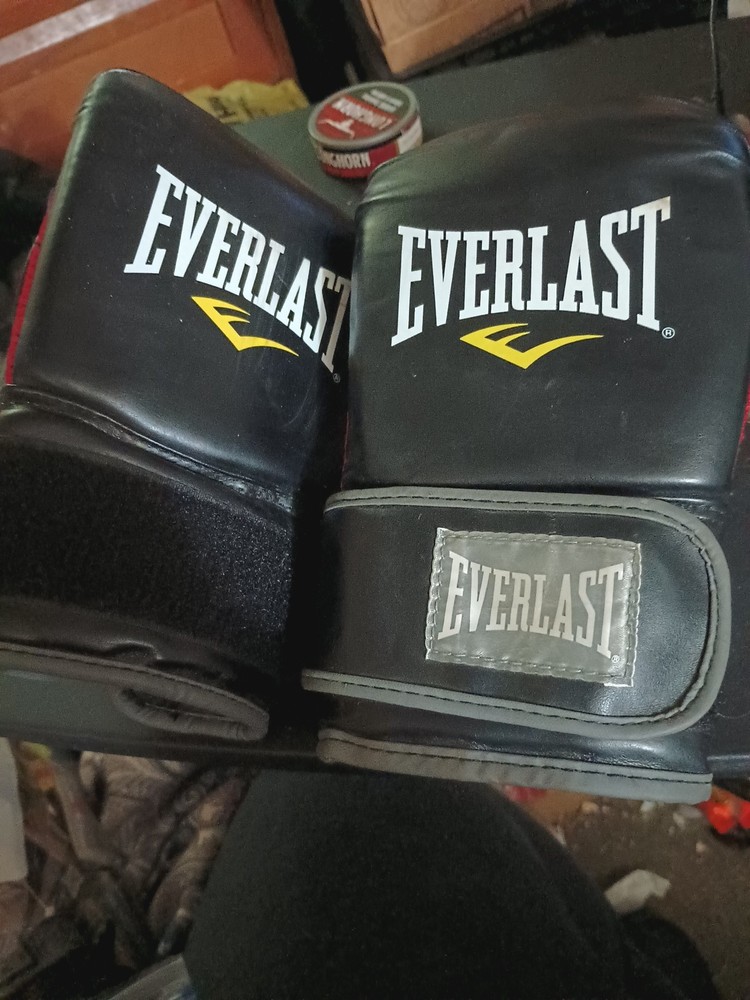 Size 7 Everlast Gloves