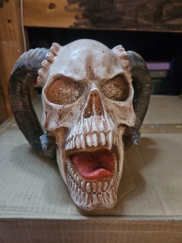 Skull With Ram Horns Decoration