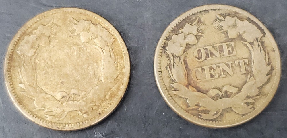 9 Mixed Flying Eagle & Indian Cent Collection