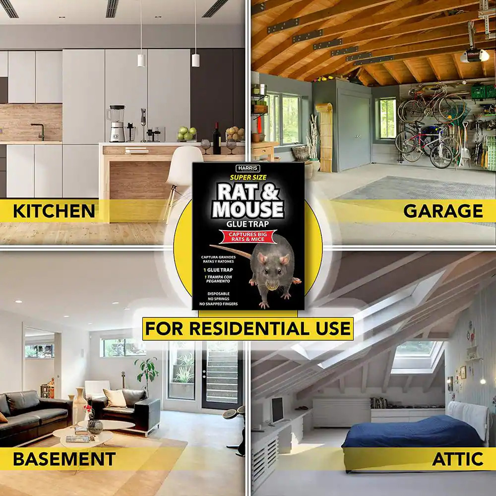 Rat and Mouse Glue Trap Super-Size (5-Pack)