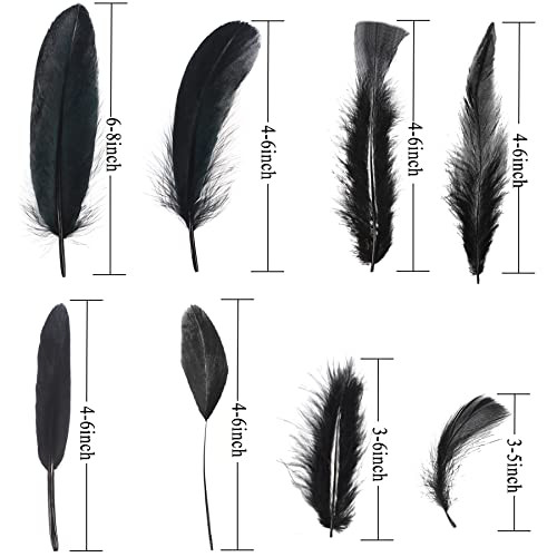 Black Craft Feathers Bulk 8 Styles - 320 PCS Assorted Mixed Natural Feathers
