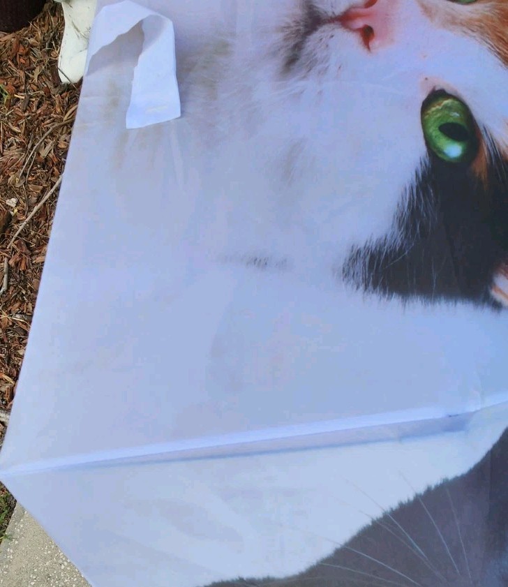 Cat Umbrella By Cat Lady Box