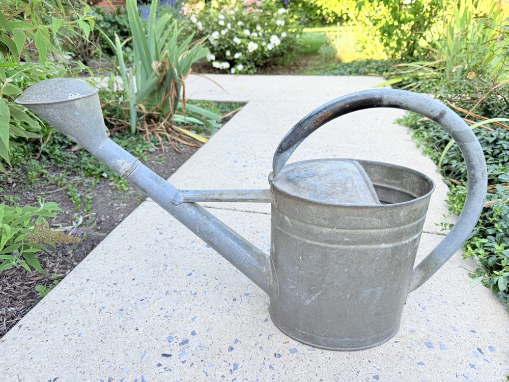 RARE Antique GERMAN BAT GALVANIZED Watering Can