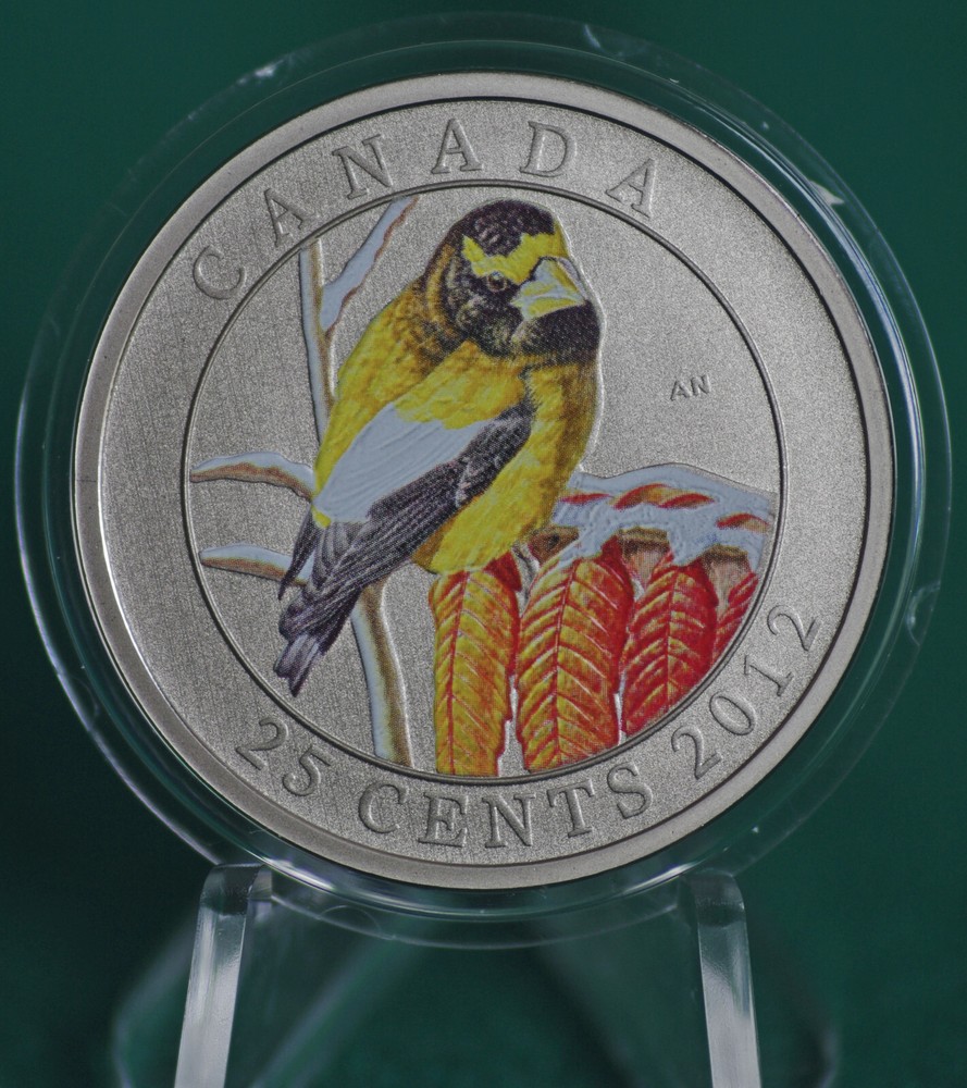2012 CANADA Evening Grosbeak 25 cent coloured & oversized - coin only