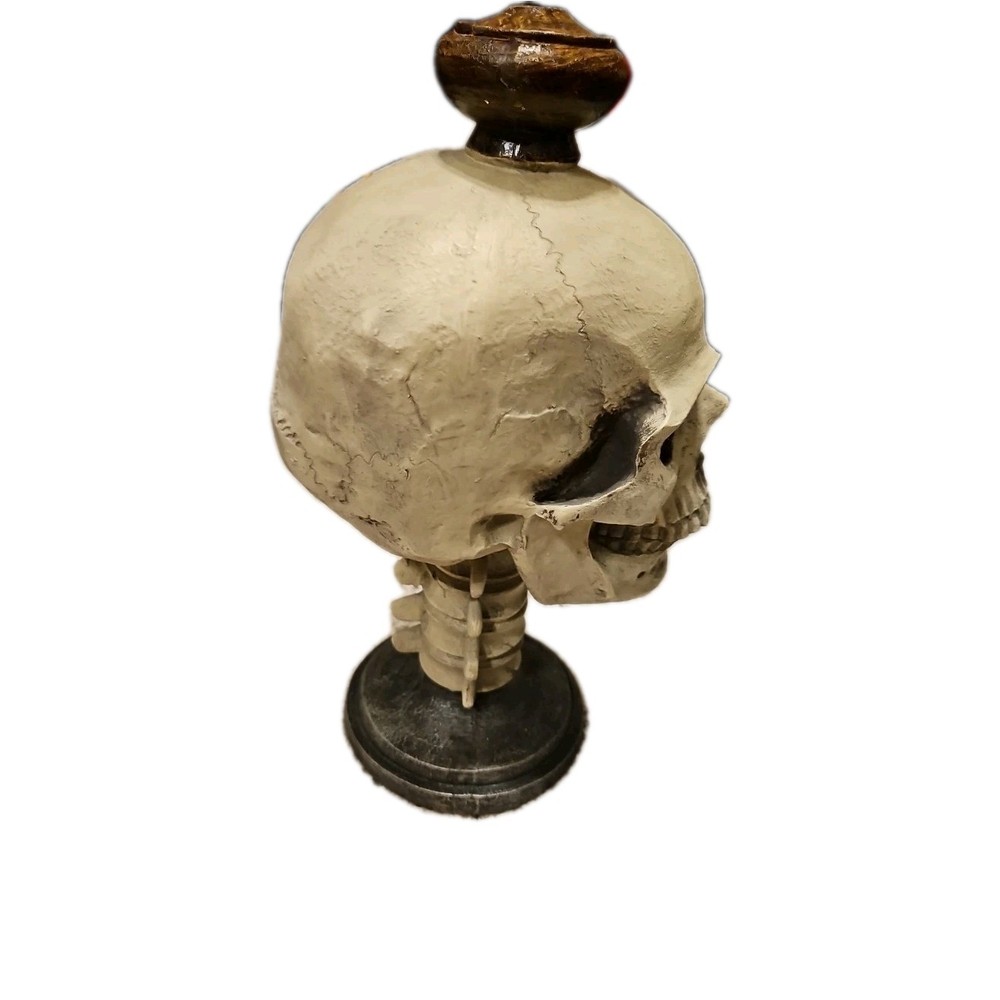 Skull Pedestal Decoration