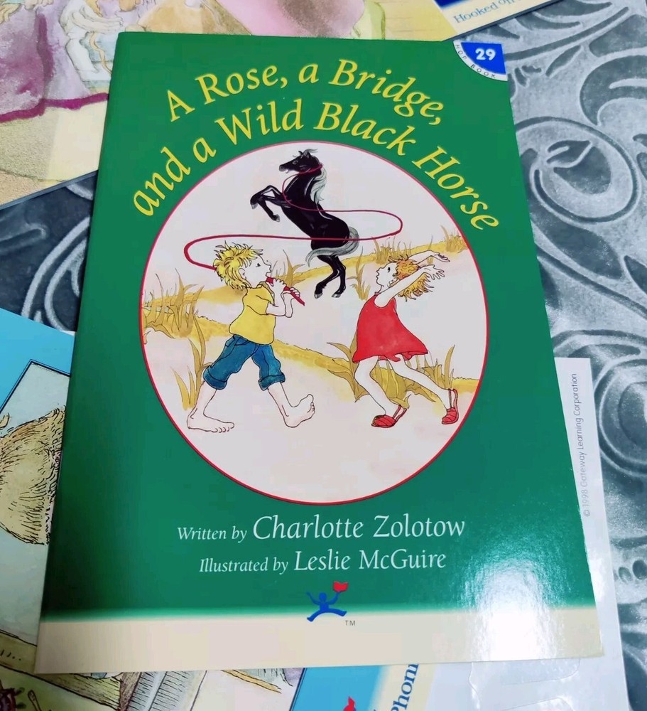 Hooked on Phonics Learn to Read Level 5 Complete Box Set with Workbook