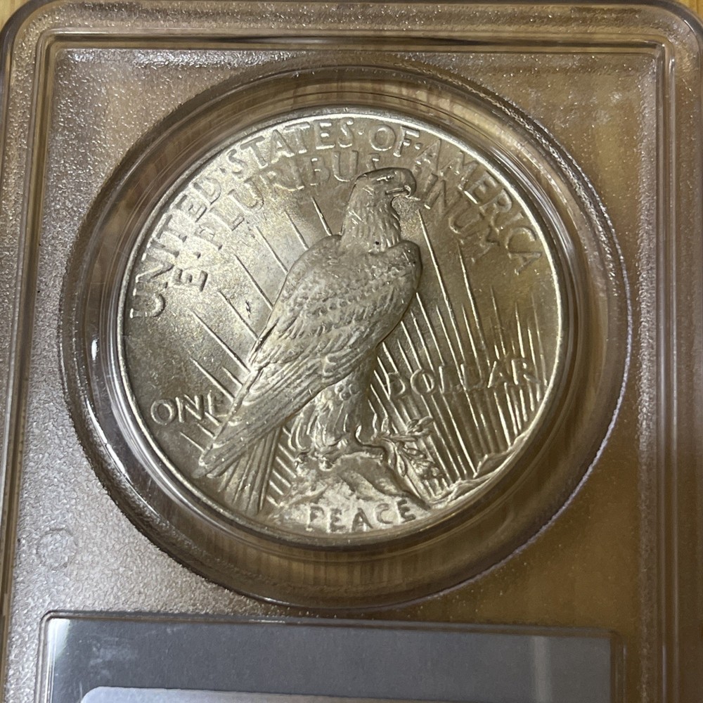 1925 Peace Silver $1 Dollar PCGS MS 63