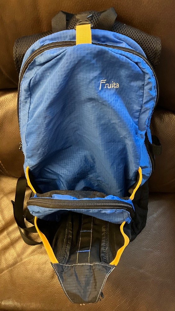 Go-Lite Daypack Backpack, Hiking/Camping/Outdoors, Great Condition