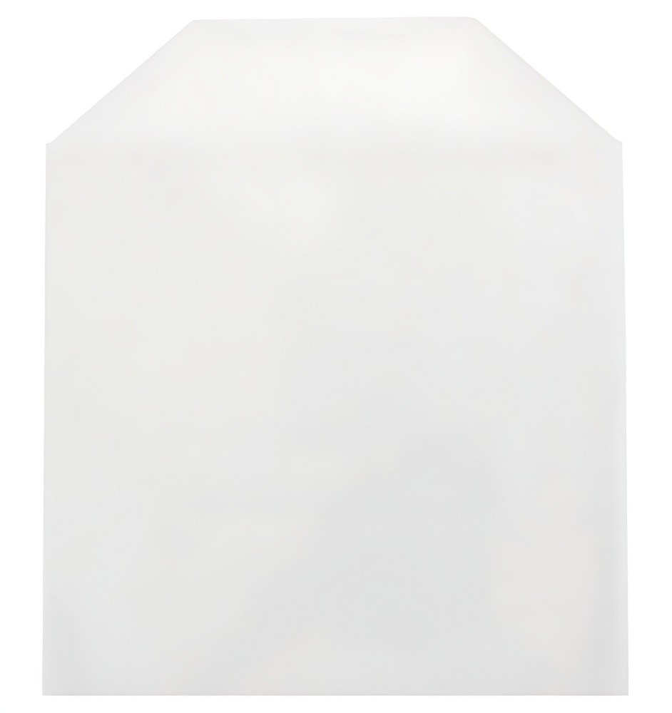 400 CPP Clear Plastic Sleeve with Flap (No Stitches) ** 1-3 DAY