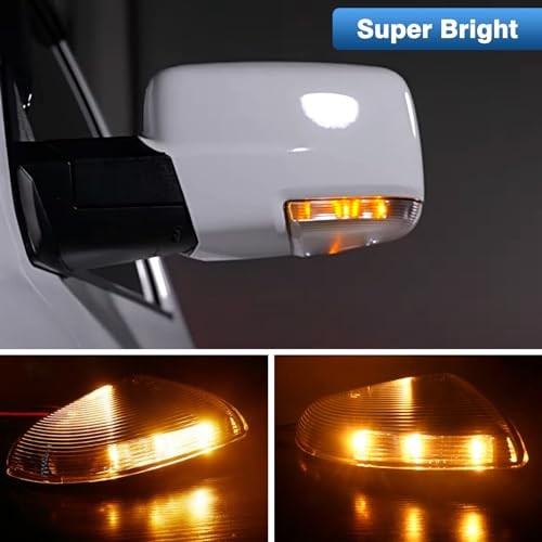 Ram Puddle Light Mirror Turn Signal Light LED Puddle Lamp Left Driver Side