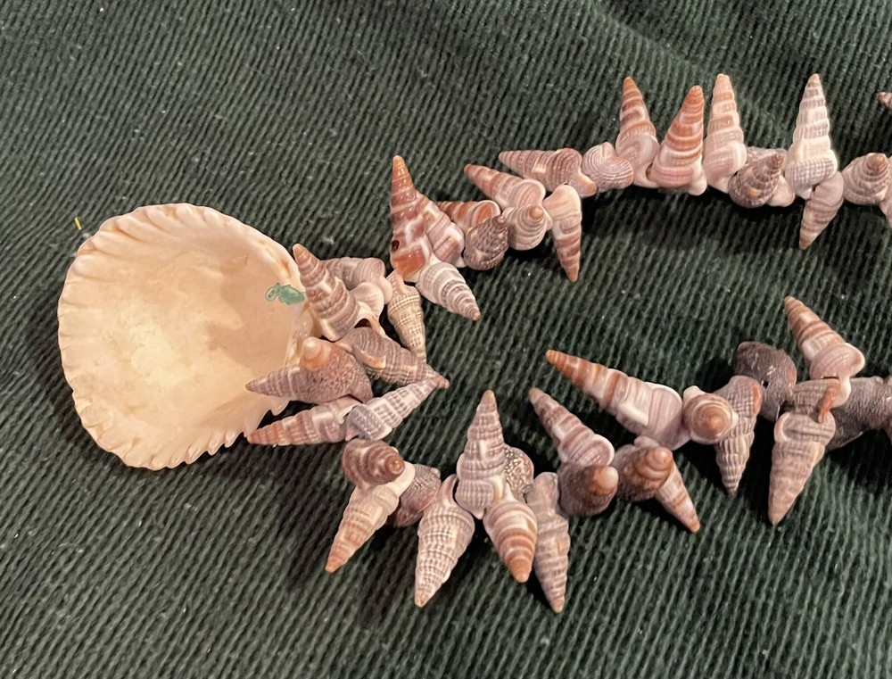 Handmade Shell Necklace Pullover 16"