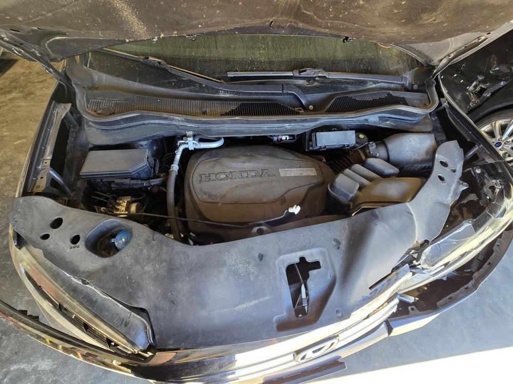 PILOT 2017 Jack 1552265