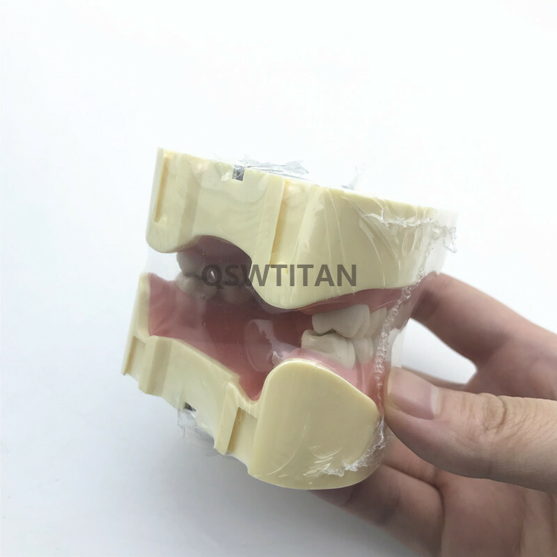 Dental Simulator Manikin Phantom Head practical exercises Head model