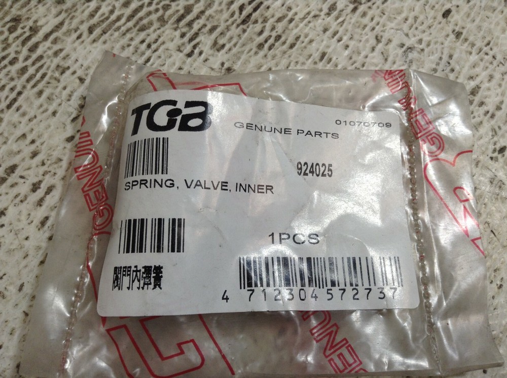 TGB 924025 Inner Valve Spring New (TSC)
