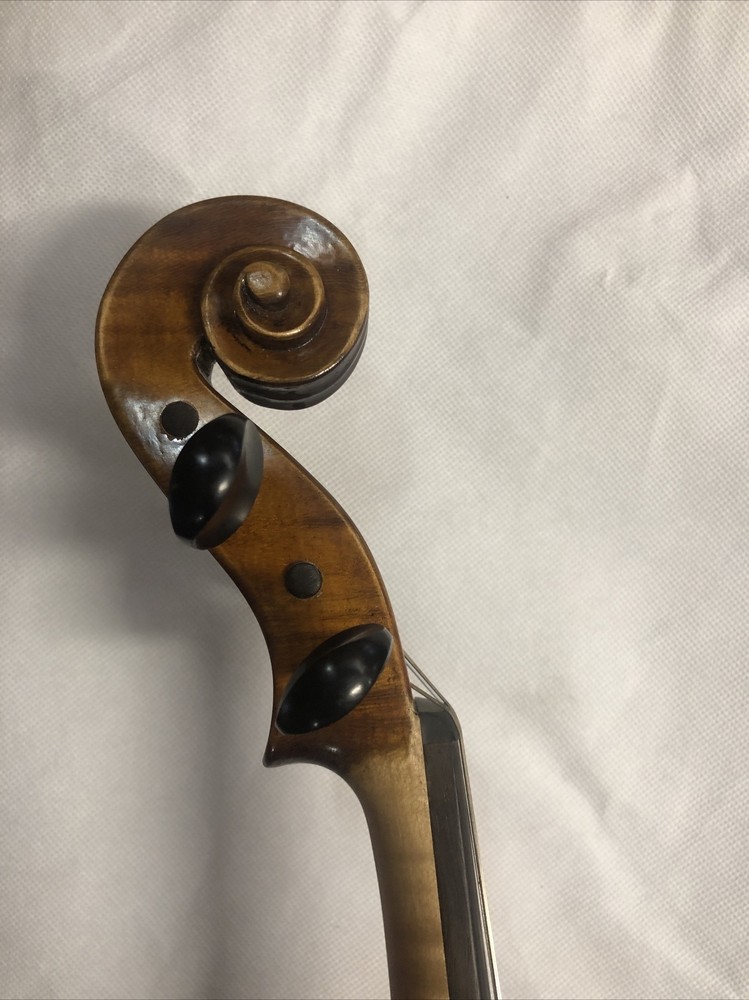 Angels CA500 Viola 16”