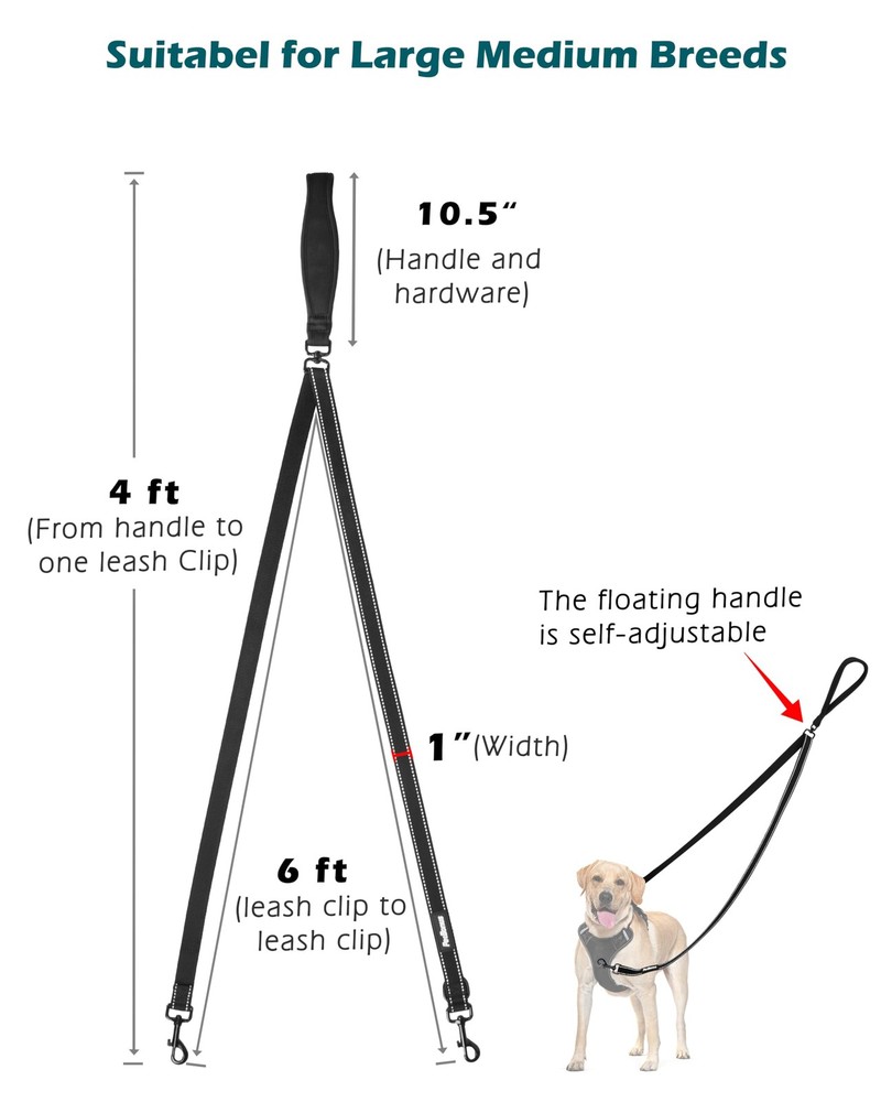Two Point Control Dog Leash, Works with No Pull Harnesses, No Tangle Training...