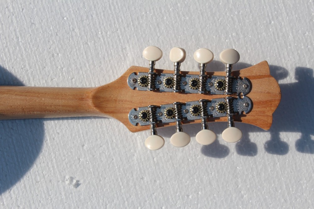 Bowl back Mandolin Solid Spruce Top Stringed instrument