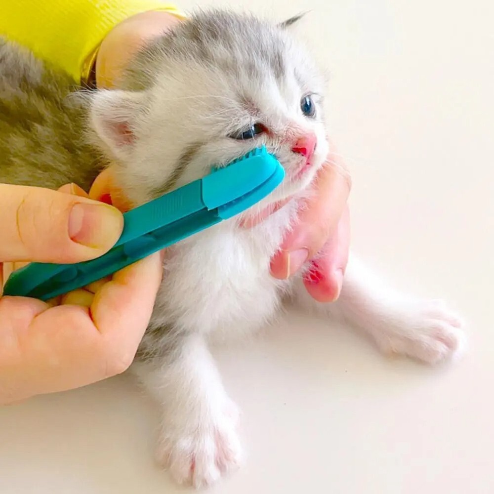Eco-Friendly Kitten Eye Rub