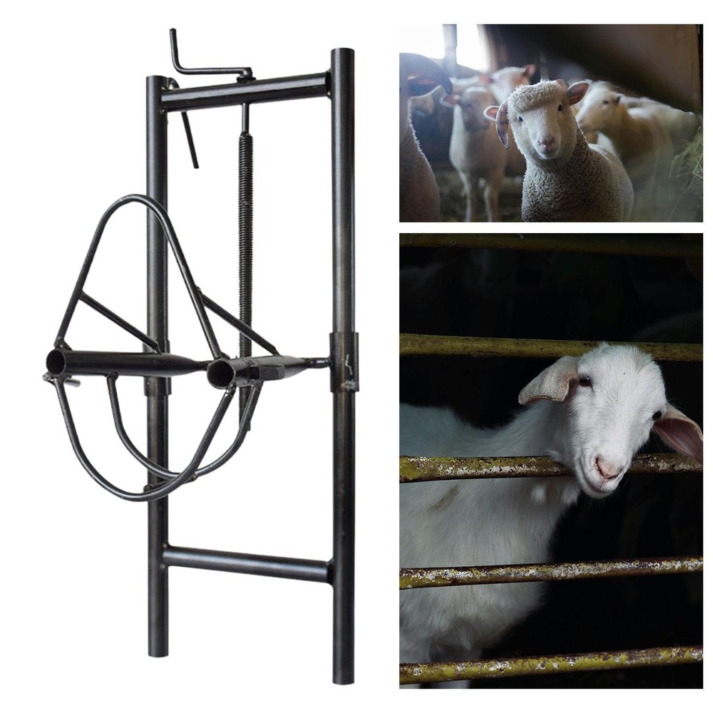 Sheep Head Fixing Bracket Wear Resistant Adjustable Sheep