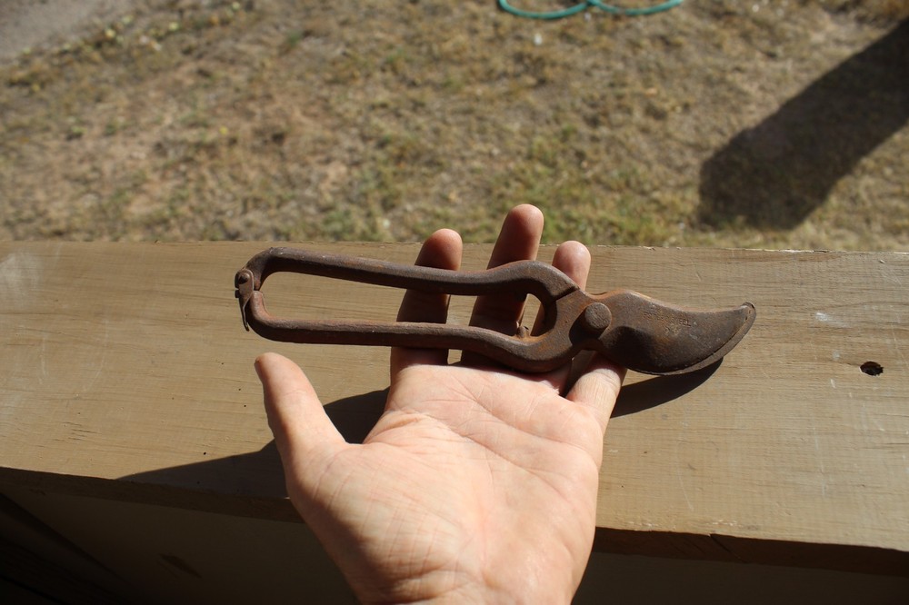 Vintage Pruning Shears, hand pruners