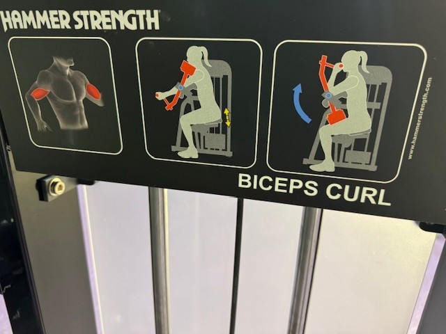 Hammer Strength Select Bicep