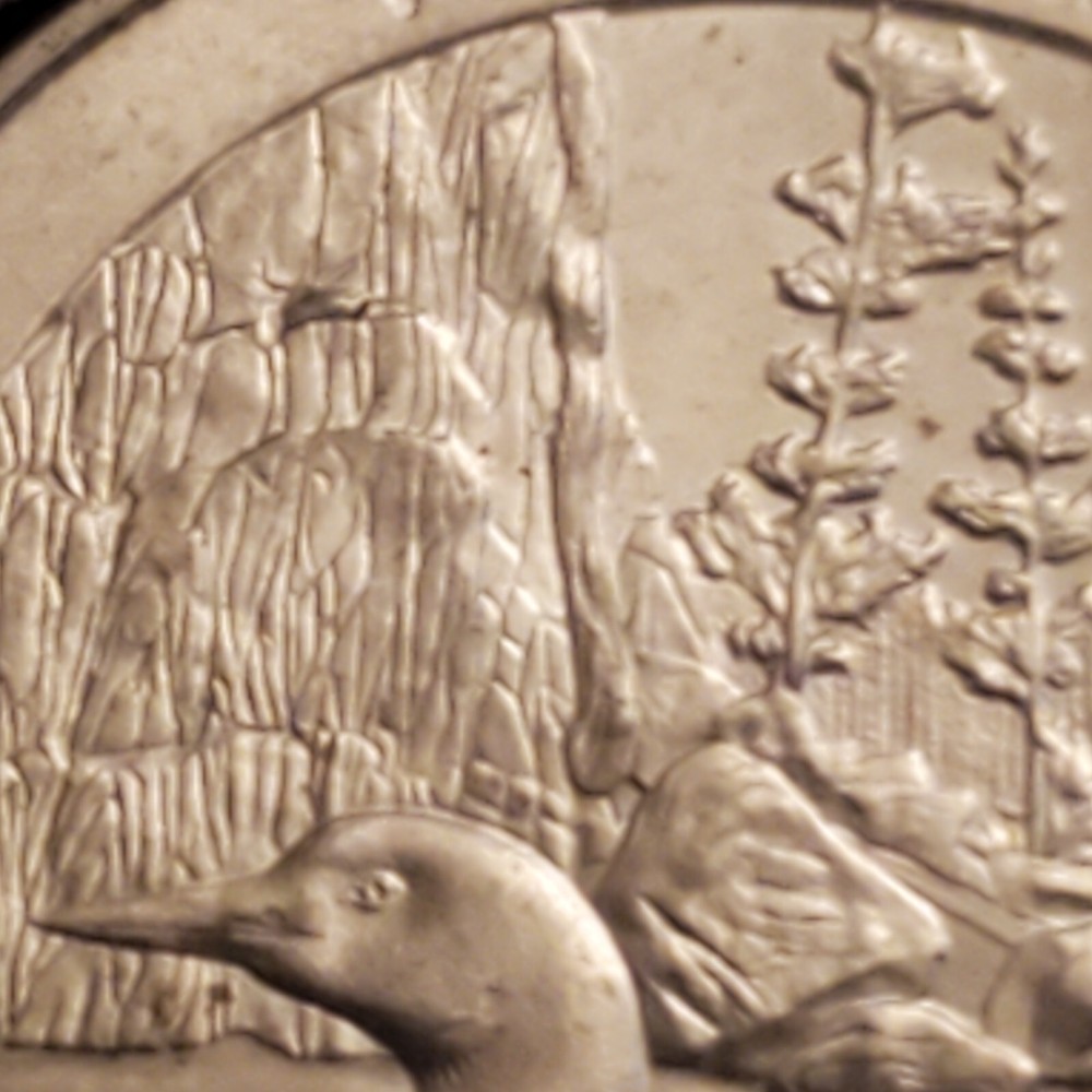 ** PARTIAL ROLL OF 15 DIE CHIP QUARTERS ** IMPORTANT! READ DESCRIPTION!