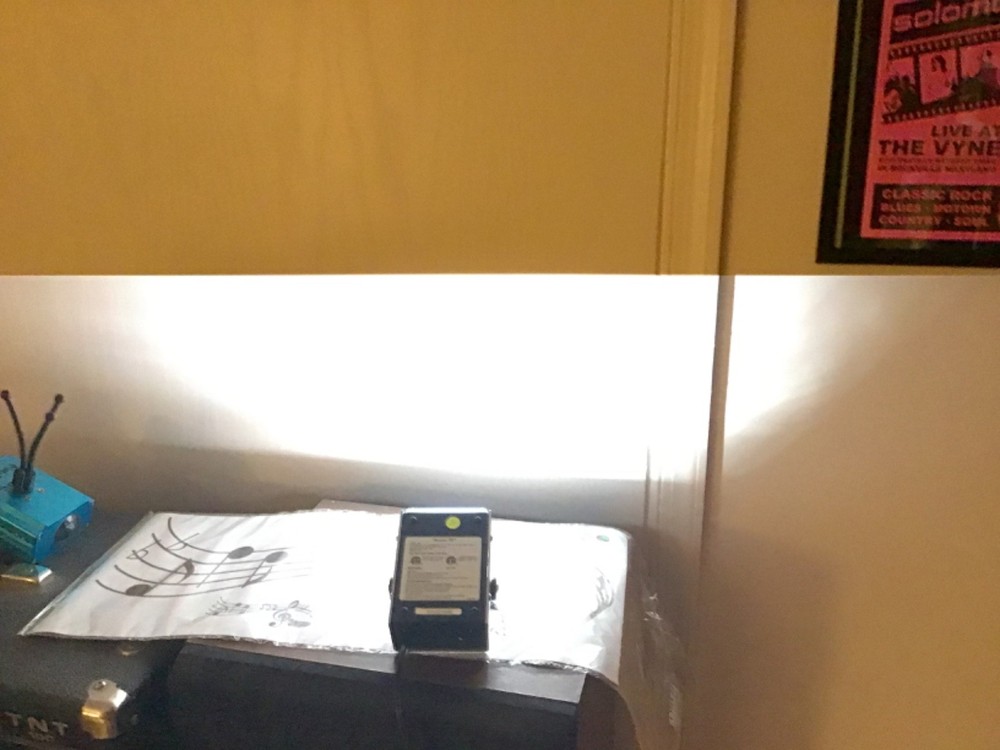 American DJ S-81 Mini Strobe Light