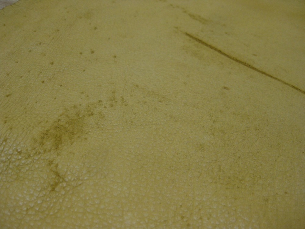 Top Grain Deer Leather # 1866139 Row 30