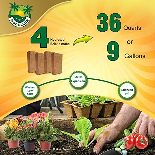 4 Bricks (5 lb) Premium Super Washed Coco Coir, Yields 9 gallons, Seed