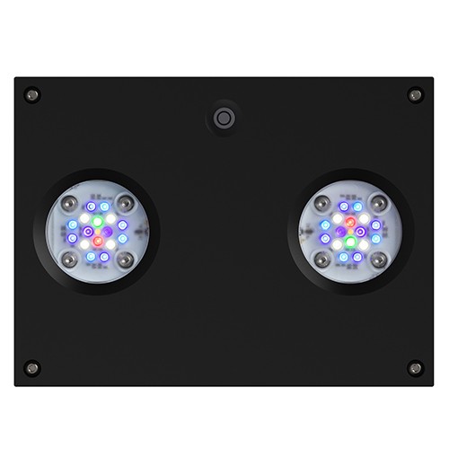 AI Hydra 32 HD LED Module - Black