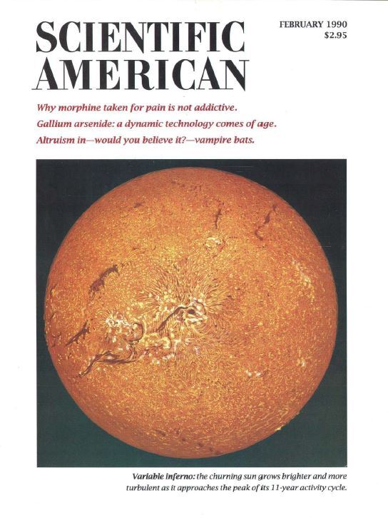 SCIENTIFIC AMERICAN 221 Select Issue Collection On USB Flash Drive