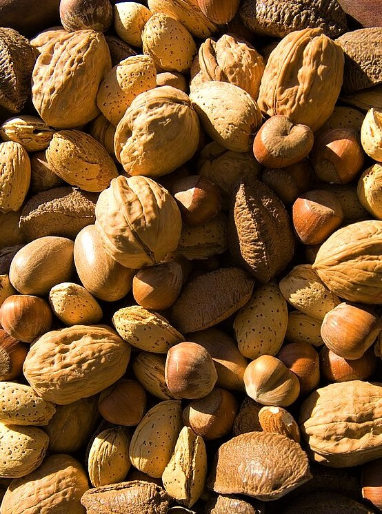 California Fresh Raw In-shell Whole Mixed Nuts