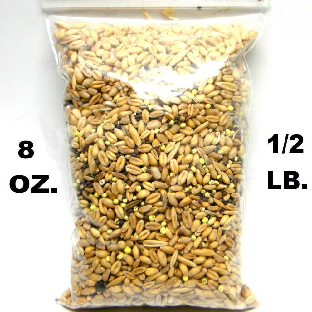 BULK BAGS EVOLVED HARVEST HUNTER SERIES MEGA PLOT DEER FORAGE FOOD PLOT SEED