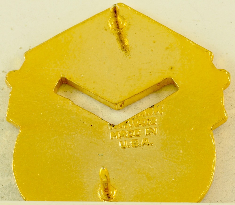 297th S & S Battalion Crest DI/DUI CB