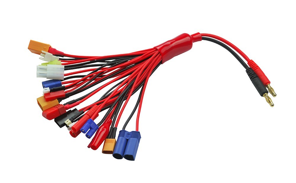 Lectron Pro Common Sense RC  Charging Adapters (Assorted)