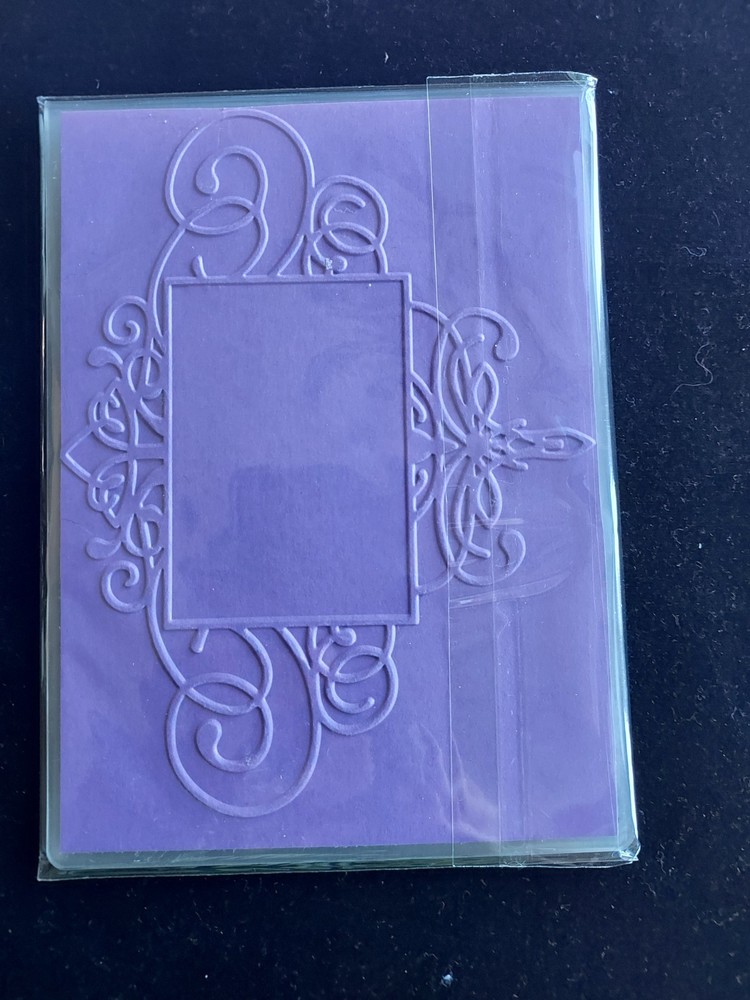Cuttlebug Provo Crafts MIRROR FRAME 4-1/4" X 6" Embossing Folder -Used