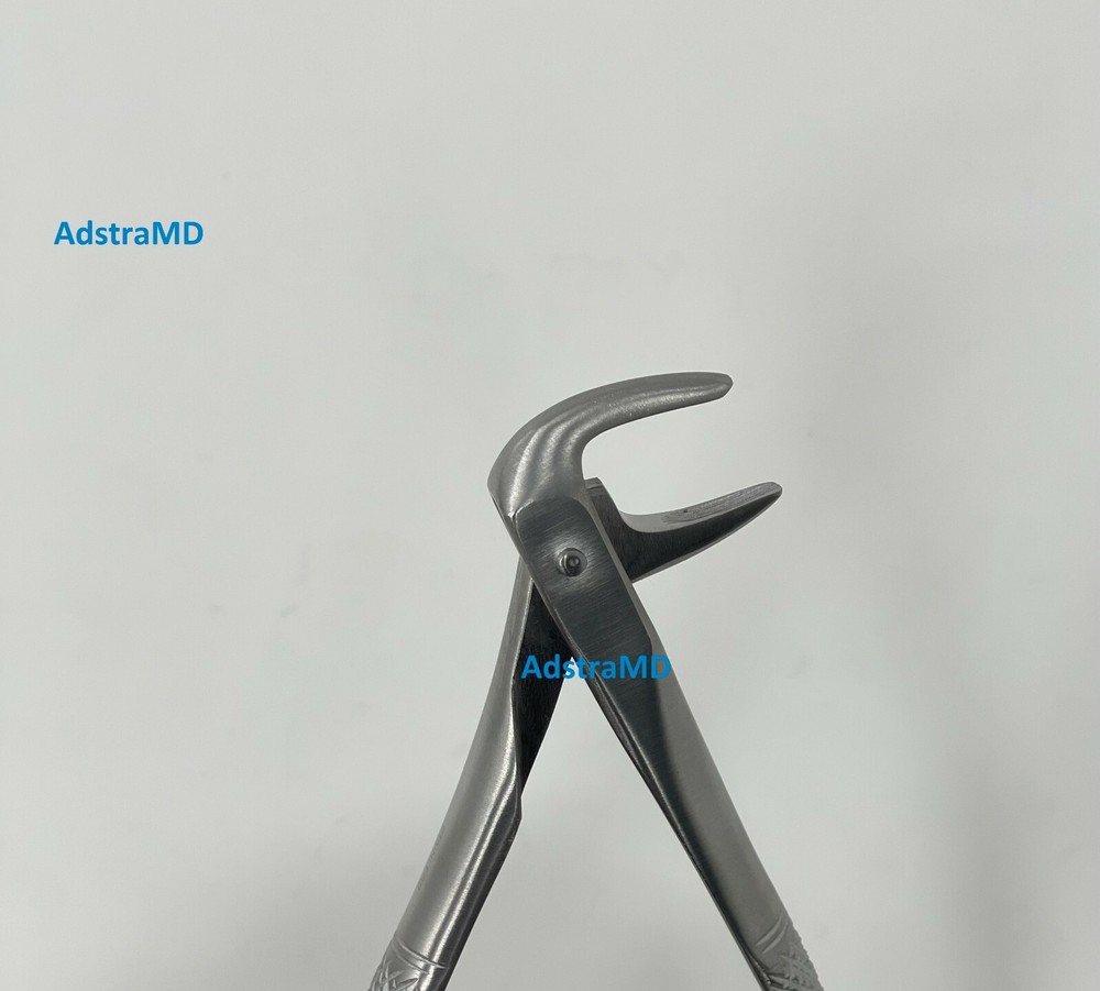 Extracting Forceps No. 74D Dental Surgical Instruments